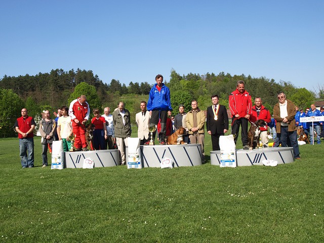 www.atibox.net * www.euroboxer.eu * www.boxergenealogia.eu